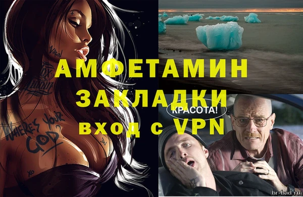 хмурый Аркадак