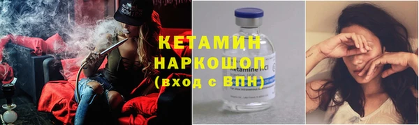 хмурый Аркадак