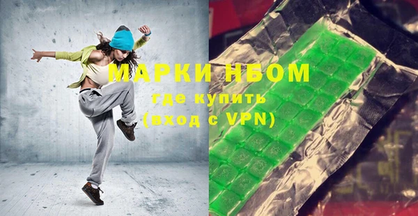 хмурый Аркадак