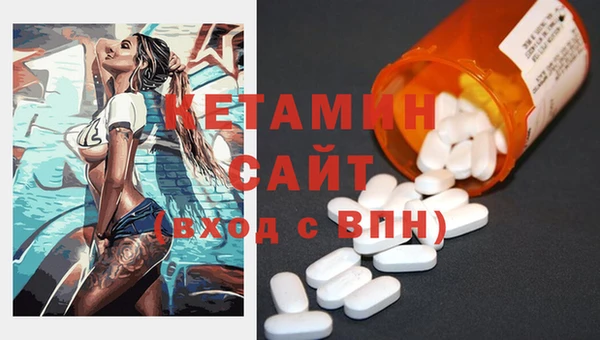 хмурый Аркадак